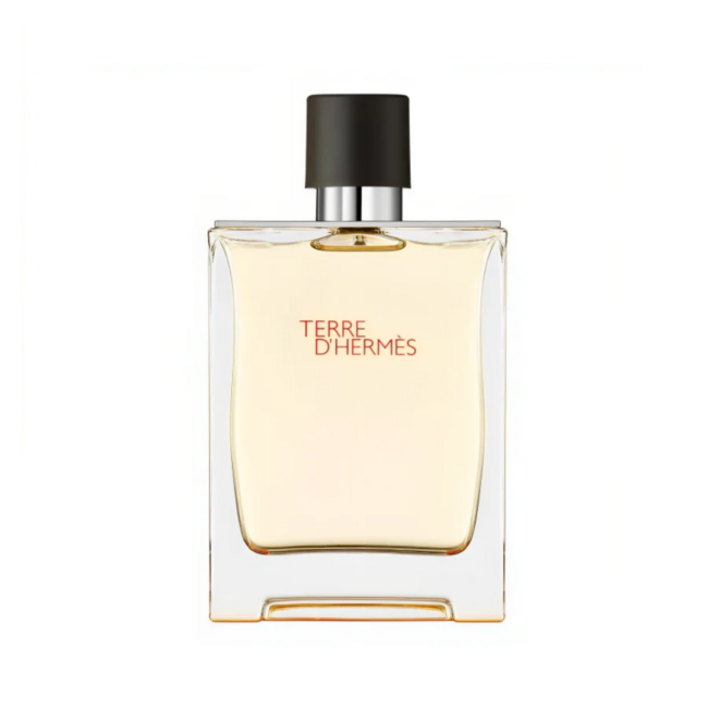 Hermès Terre D'Hermès For Men EDT 100ML