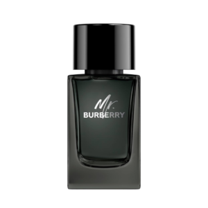 Mr. Burberry Eau de Parfum For Men 100ML